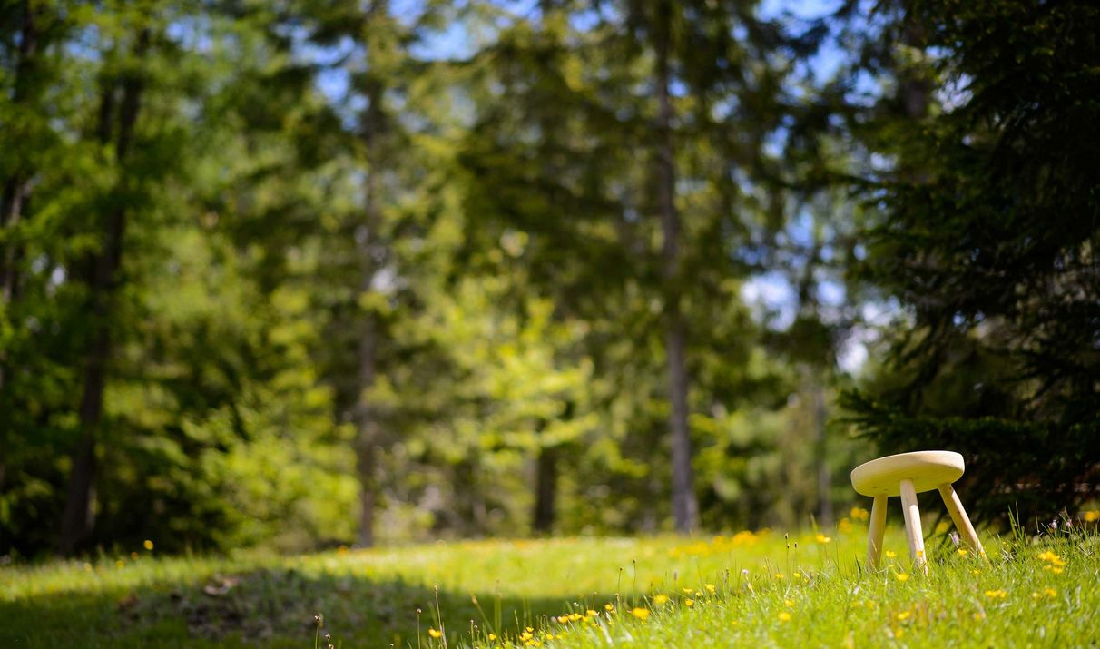 Blumenwiese Wald Holzschemel Natur Urlaub Südtirol