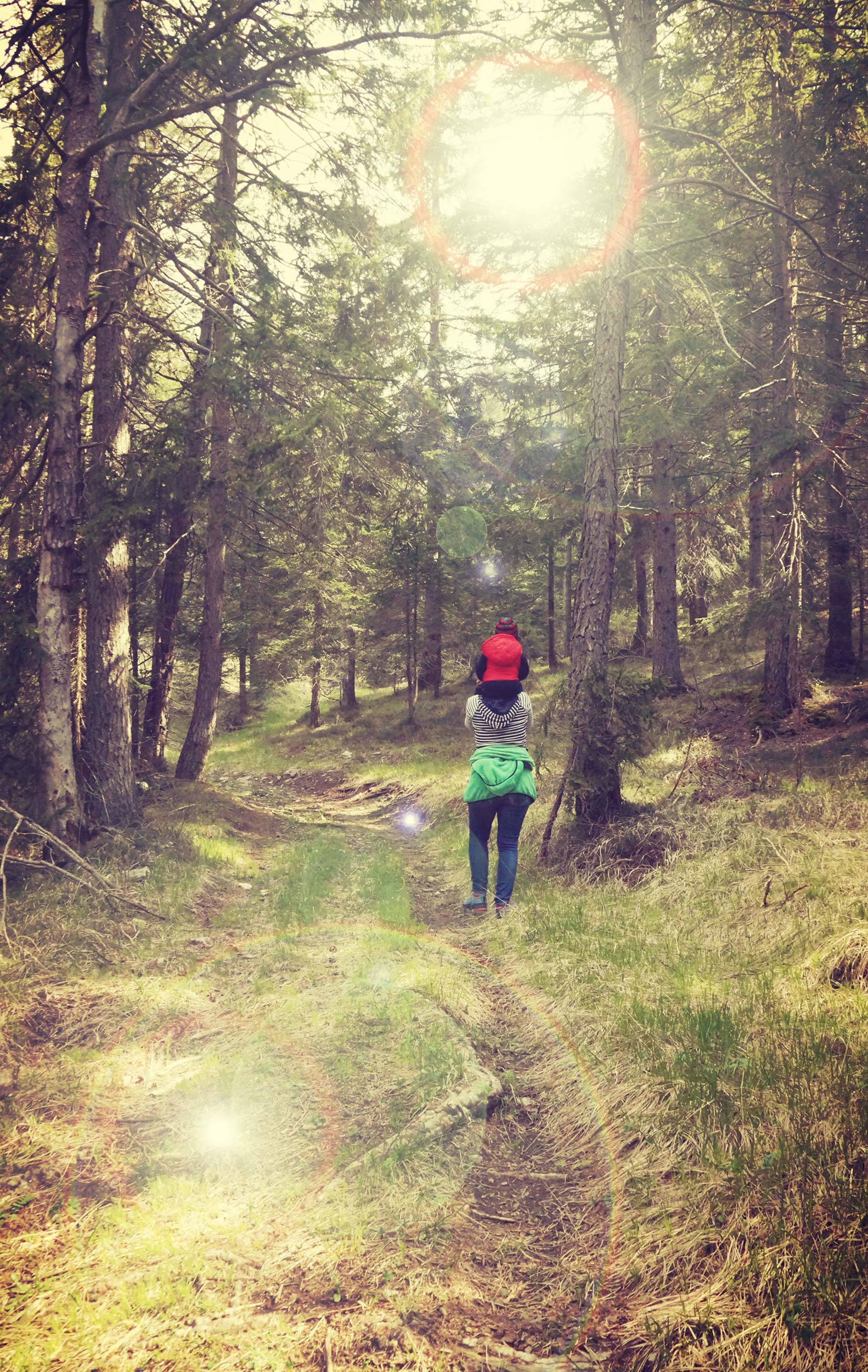 Person trägt Kind auf Schultern auf Waldweg im Sonnenlicht